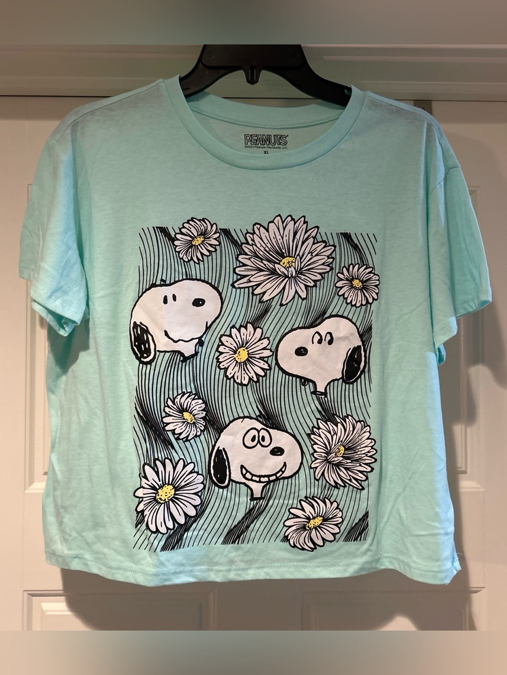 Peanuts Mint Green Snoopy Crop Tee